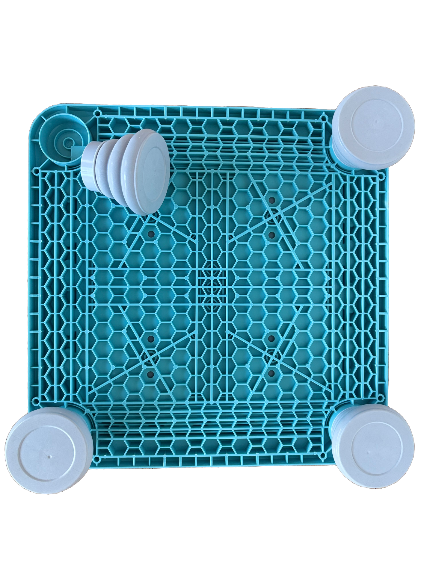 Sansetrampolinen – Leg, læring og bevægelse